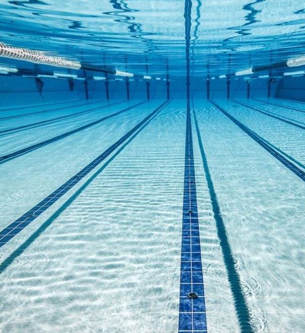 Plastic (APP) modified asphalt waterproof sheet waterproof film rubber coil roofing waterproof film is a good substitute