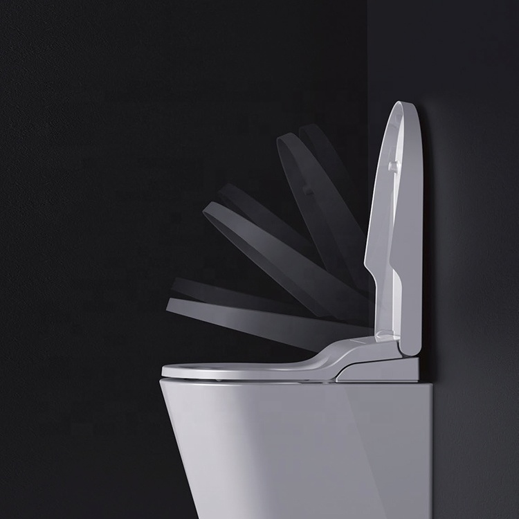 European Bathroom Sanitary Ware White Ceramic Toilet D shape Heating Toilet Seat