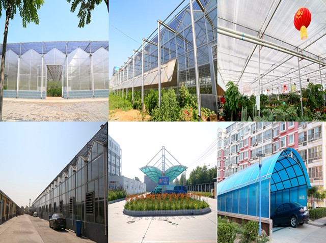 Cellular alevolar hollow polycarbonate sheet plastic sheet policarbonato pc panel