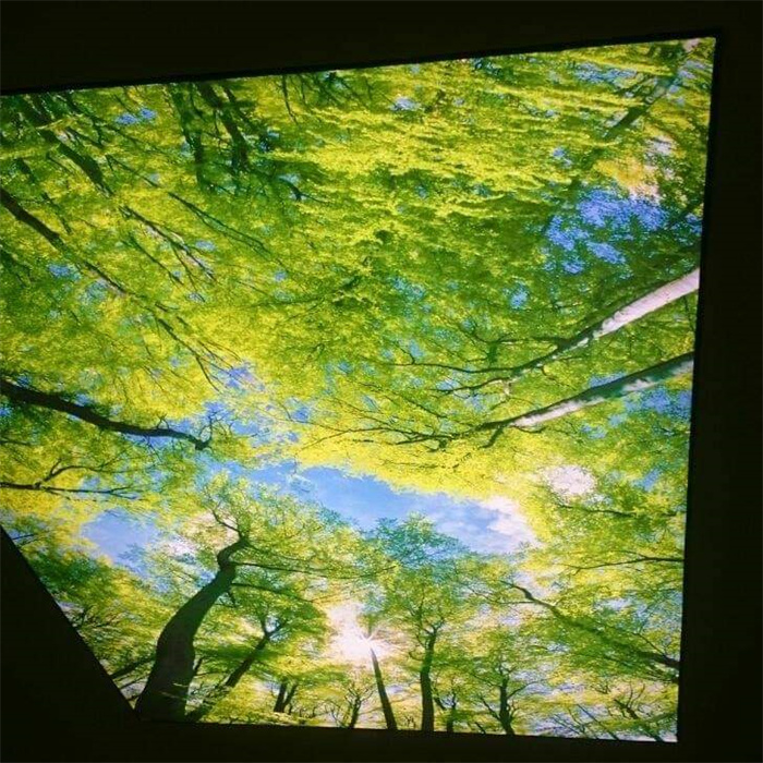 Construction Material False Plastic Pvc 3d effect stretch illusion ceiling Panel For Nigeria