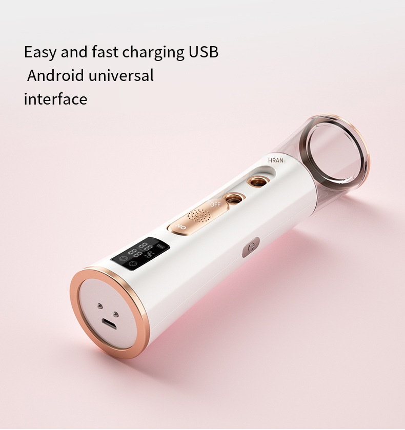 Mini Nano Face Spray Double Nozzle USB Charging Nano Facial Spray Device Nano Mist Sprayer For Home Travel
