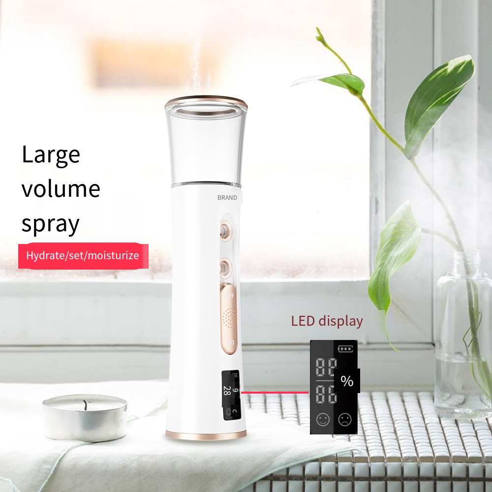 Mini Nano Face Spray Double Nozzle USB Charging Nano Facial Spray Device Nano Mist Sprayer For Home Travel
