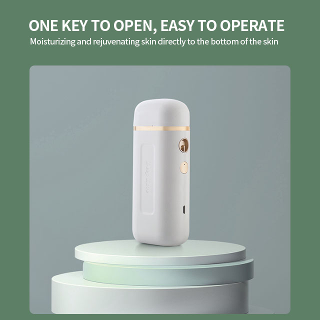 Mini Automatic Beauty Device Personal Humidifier Electric Home Ion Portable Spa Facial Steamer Facial Mist Sprayer
