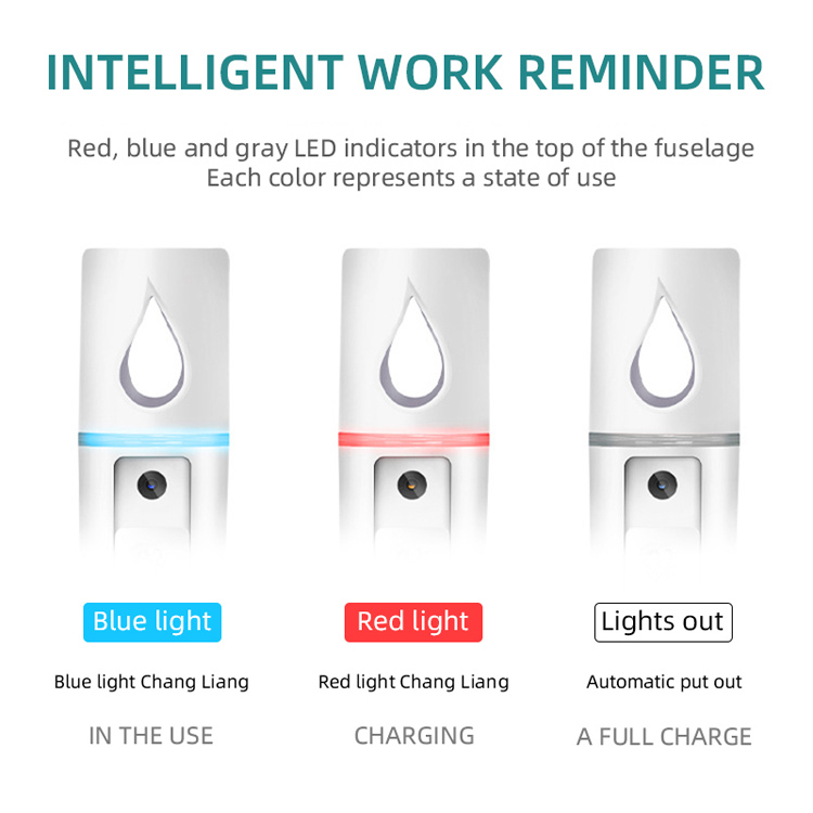  Hot Sell Personal Care Electric Portable  Facial Steamer Handy Nano Facial mist Sprayer