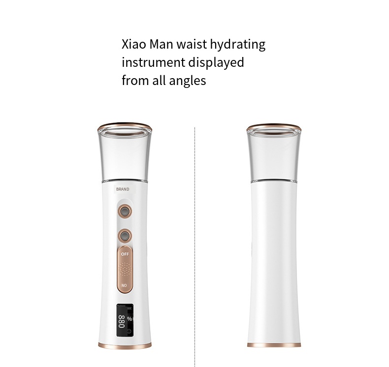 Mini Nano Face Spray Double Nozzle USB Charging Nano Facial Spray Device Nano Mist Sprayer For Home Travel