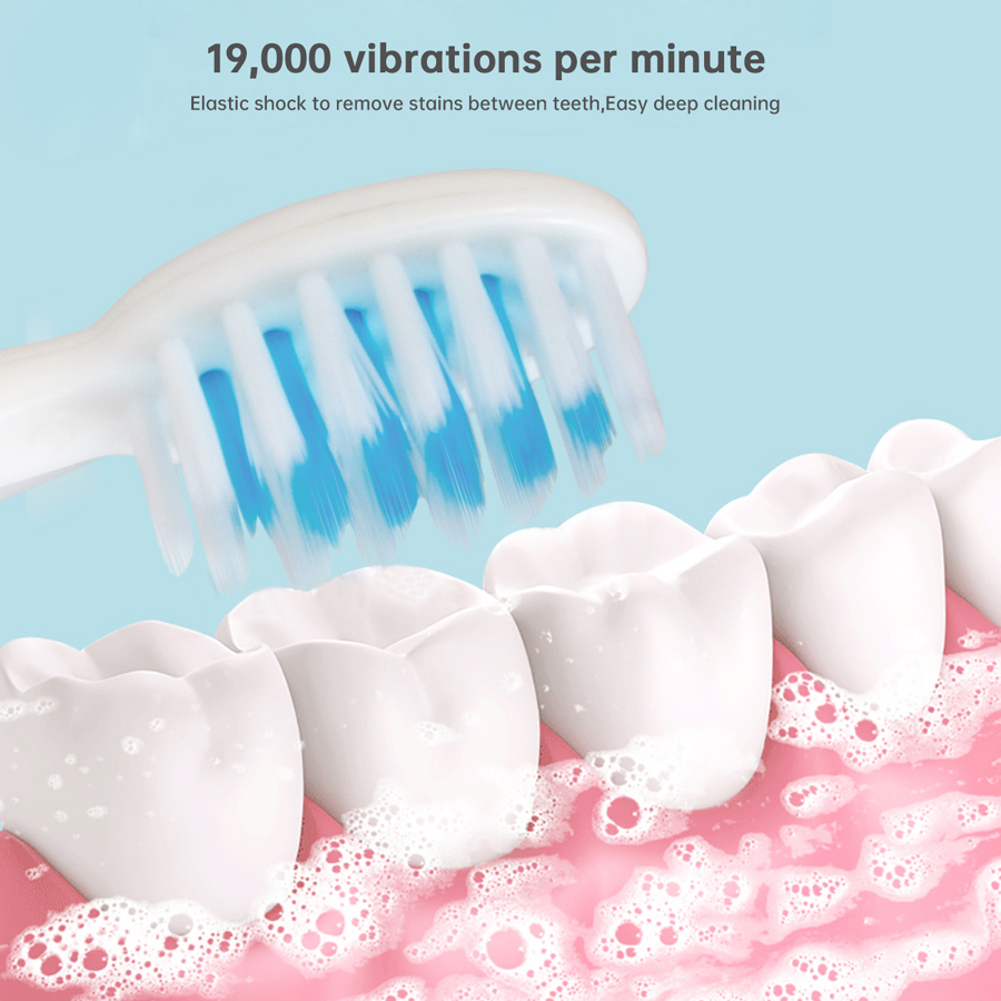 Sample Battery Powered Ultrasonic White Electric Toothbrush  Automatic Electric Toothbrush