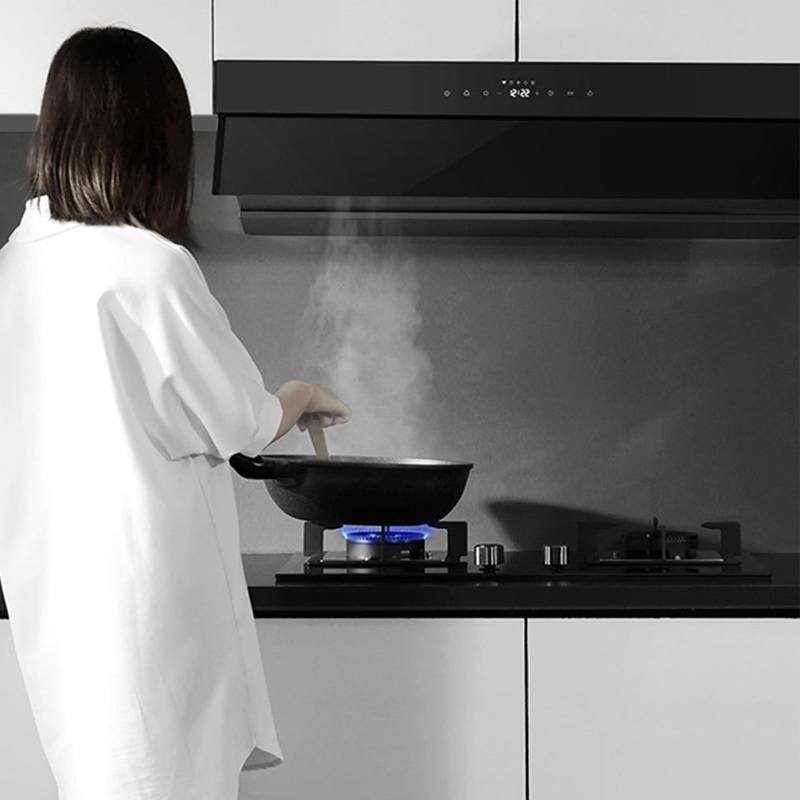 Xiaomi Viomi Smart Liquefied Gas Stoves APP Monitor Detector Kitchen Double Fire Stove