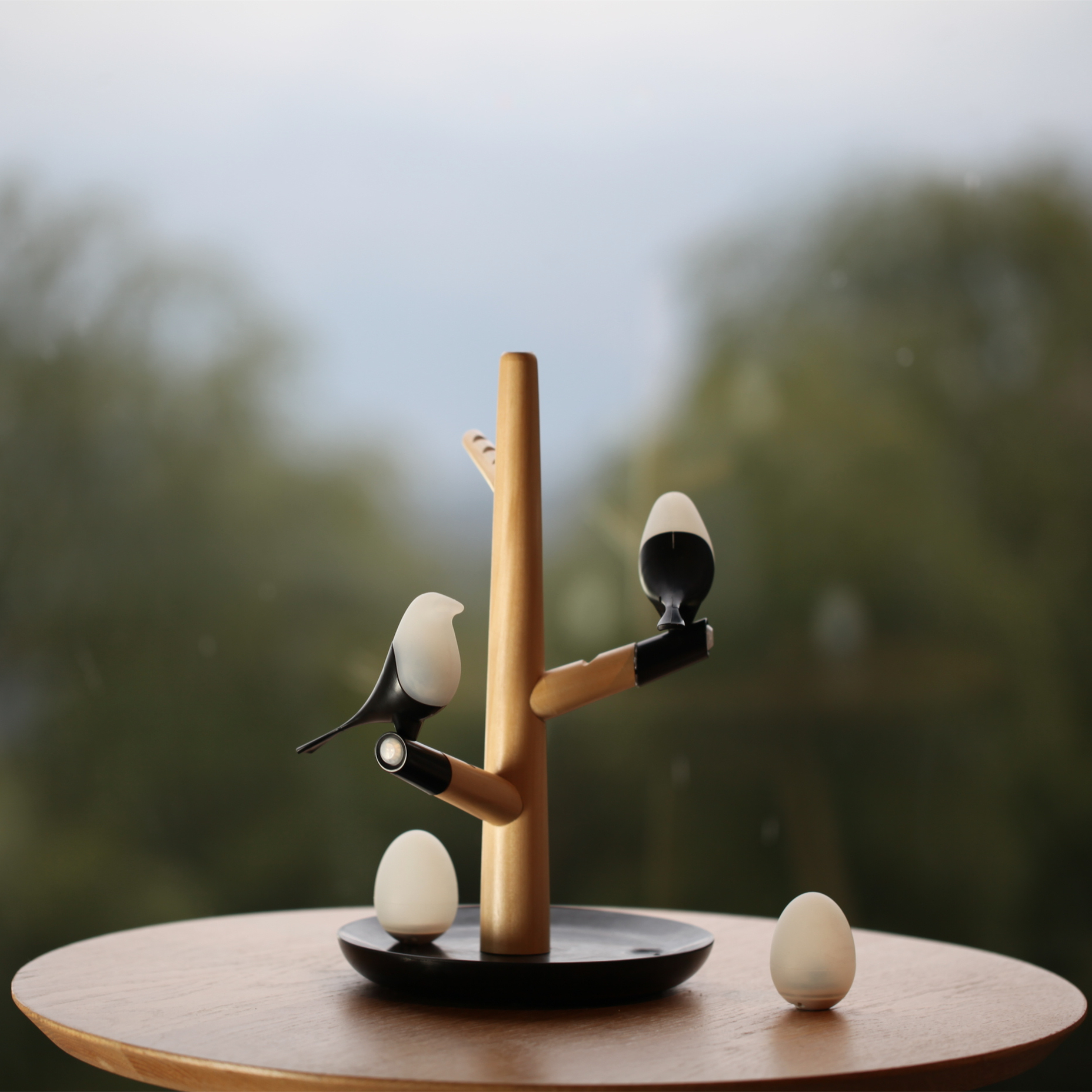 Modern desk lamp small lucky bird led wooden book lamp with magnet movement lighting egg funny on table