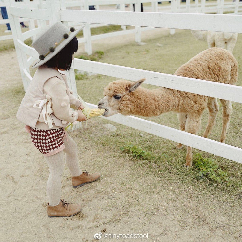   Baby Girls knit shorts baby girl cute tail shorts spring diamond bread pants