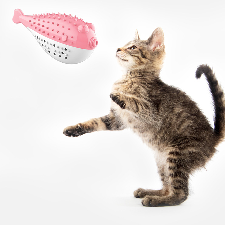New Pet Cat Catnip Toothbrush Toy Simulation Fish Mint Toy Pet Cat Interactive Toy