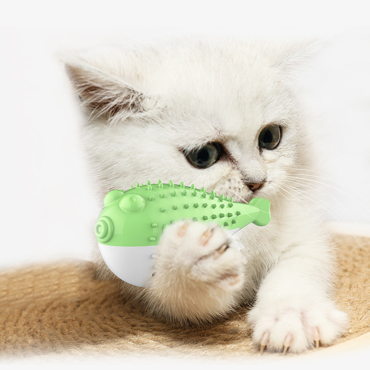 New Pet Cat Catnip Toothbrush Toy Simulation Fish Mint Toy Pet Cat Interactive Toy