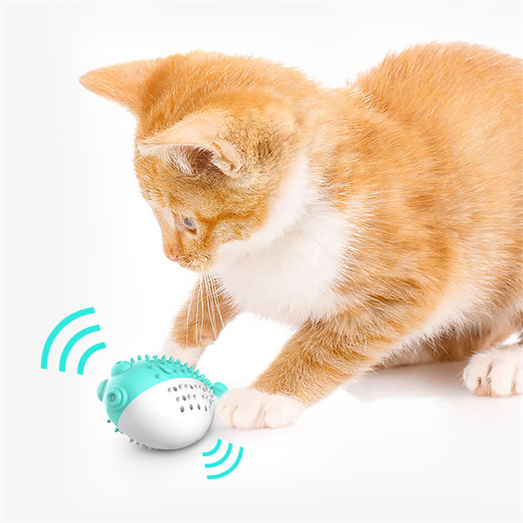 New Pet Cat Catnip Toothbrush Toy Simulation Fish Mint Toy Pet Cat Interactive Toy
