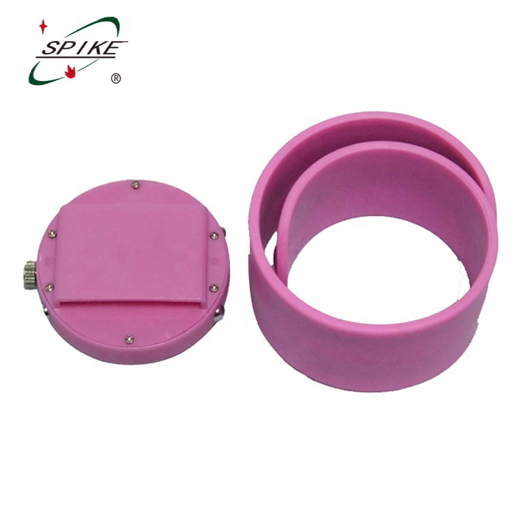 Silicon slap watch interchange minion smiggle slap band watch