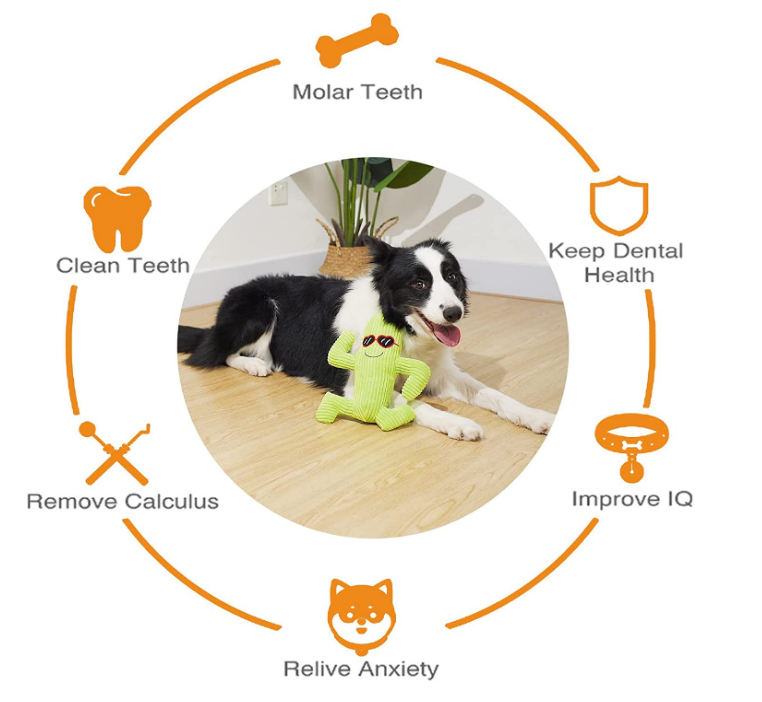  molar cute cactus plush funny sounding  dental care durable low-price luxury hot sell dog pet toy