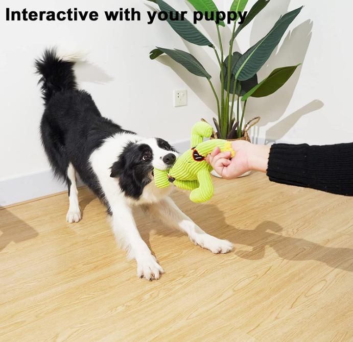  molar cute cactus plush funny sounding  dental care durable low-price luxury hot sell dog pet toy