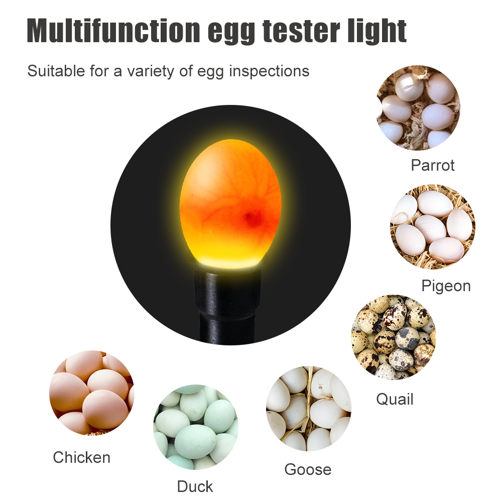 Super brightness LED multifunctional egg tester to check breeding eggs