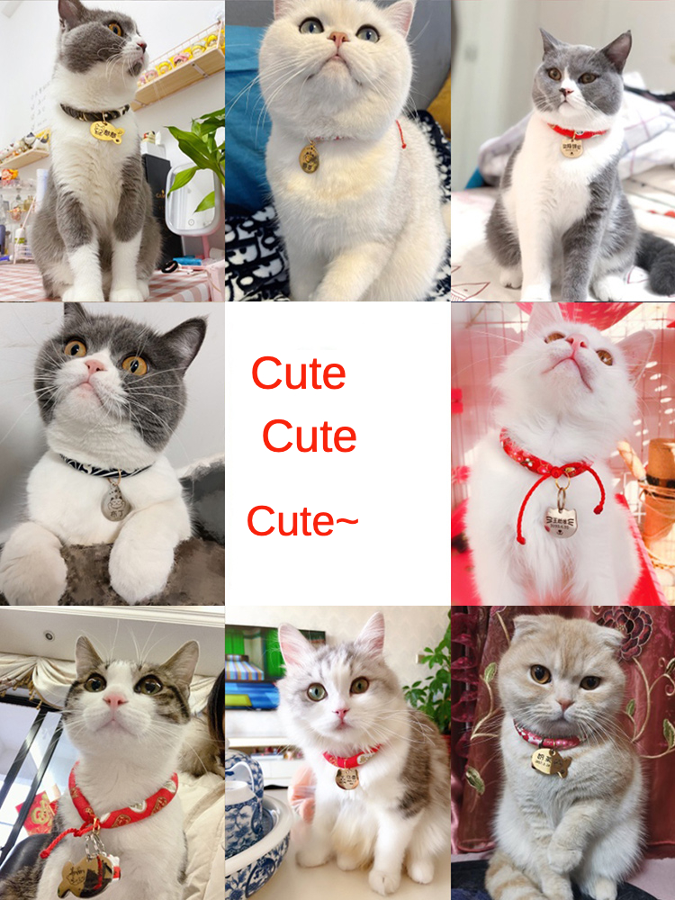 Cat collar cat brand lettering ized anti-lost pet ized famous brand Bell dog necklace small dog hanging tag