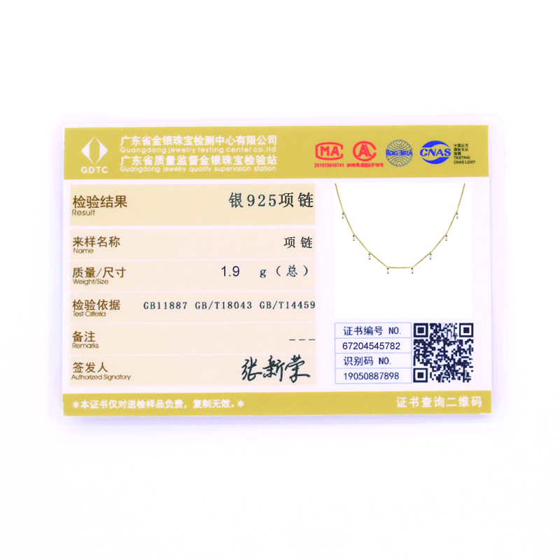 Designer  Name 925 Sterling  Simple and Versatile Square Diamond Women Clavicle Pure Jewelry Silver Necklace