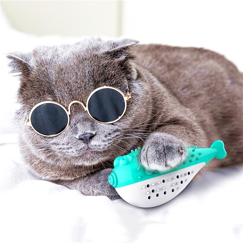 New Pet Cat Catnip Toothbrush Toy Simulation Fish Mint Toy Pet Cat Interactive Toy
