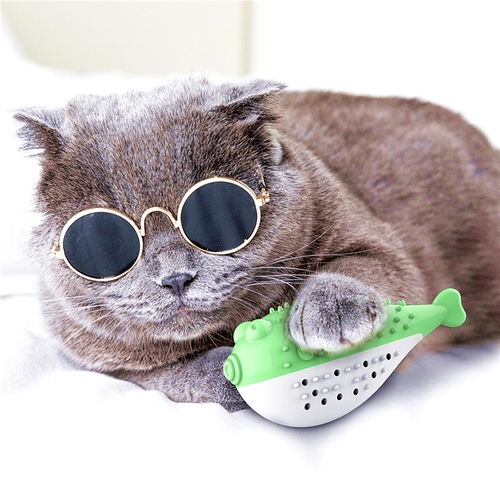 New Pet Cat Catnip Toothbrush Toy Simulation Fish Mint Toy Pet Cat Interactive Toy