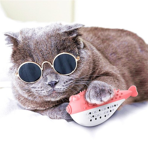 New Pet Cat Catnip Toothbrush Toy Simulation Fish Mint Toy Pet Cat Interactive Toy