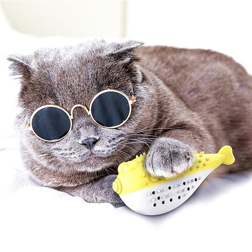 New Pet Cat Catnip Toothbrush Toy Simulation Fish Mint Toy Pet Cat Interactive Toy