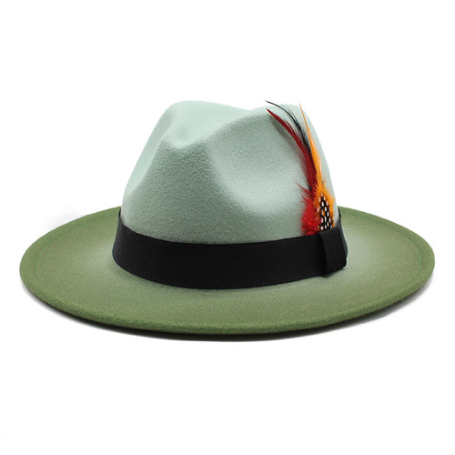 Dropshipping New color matching gradient feather jazz hat men and women outdoor shade woolen hat Fedora Hats