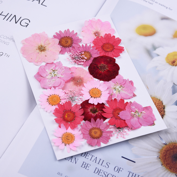 Beautiful Multiple Real Pressed Leaves Natural Dried Flowers for Art Craft Scrapbooking Card Making Resin Jewelry Craft 