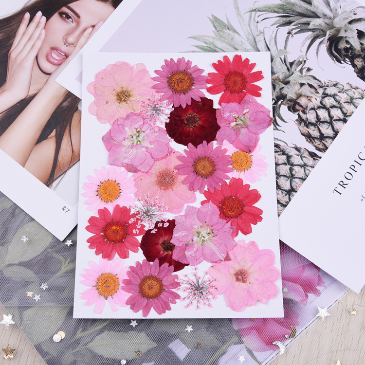 Beautiful Multiple Real Pressed Leaves Natural Dried Flowers for Art Craft Scrapbooking Card Making Resin Jewelry Craft 