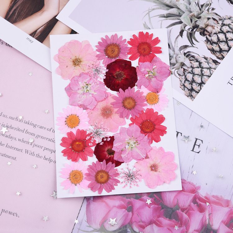 Beautiful Multiple Real Pressed Leaves Natural Dried Flowers for Art Craft Scrapbooking Card Making Resin Jewelry Craft 