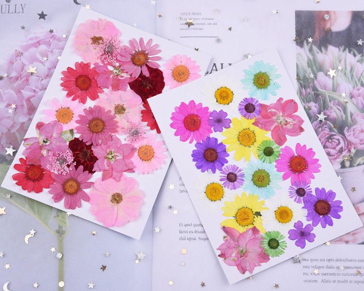 Beautiful Multiple Real Pressed Leaves Natural Dried Flowers for Art Craft Scrapbooking Card Making Resin Jewelry Craft 