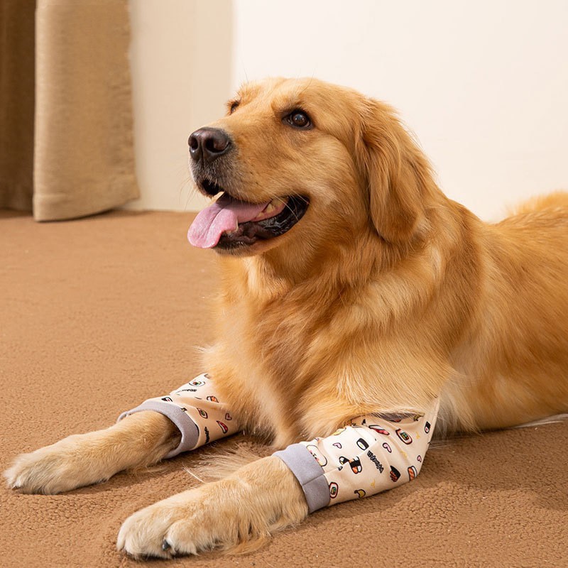Knee pads for pets and leg pads for dog joint surgery injuries