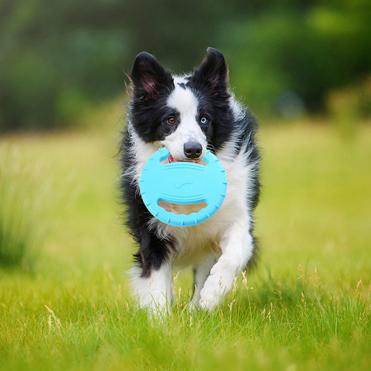 Steering Wheel Soft Frisbee Dog Interactive Training EVA material floating Frisbee pet toy