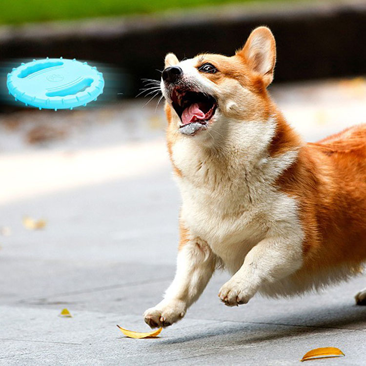 Steering Wheel Soft Frisbee Dog Interactive Training EVA material floating Frisbee pet toy