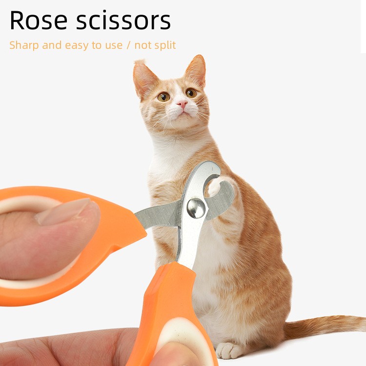 Pet dog supplies  grooming scissors