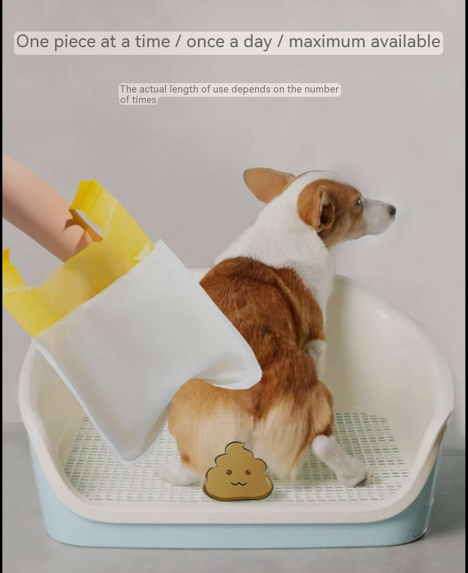 Biodegradable Tough Dog Poop Disposable Bags
