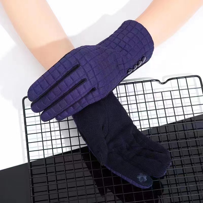 Pai Hao Cheaper Stoke Women Fashion Gloves Winter Elegant Gloves Finger Touch Gloves