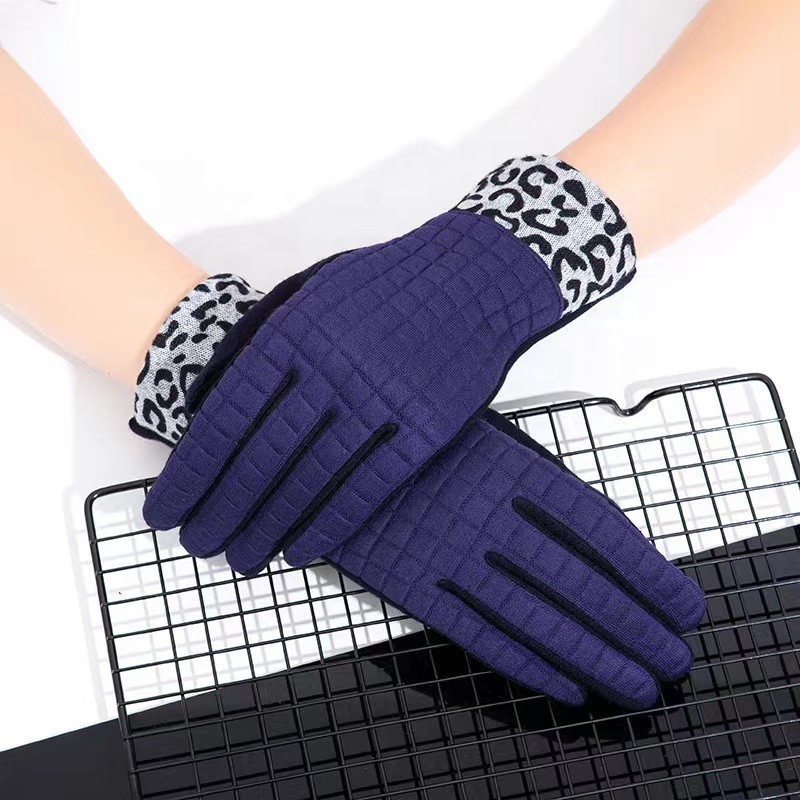 Pai Hao Cheaper Stoke Women Fashion Gloves Winter Elegant Gloves Finger Touch Gloves