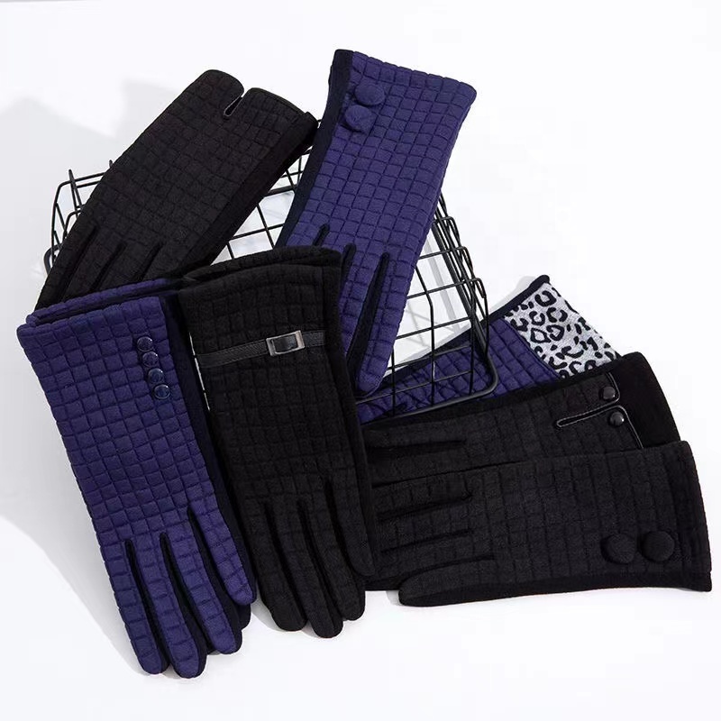 Pai Hao Cheaper Stoke Women Fashion Gloves Winter Elegant Gloves Finger Touch Gloves