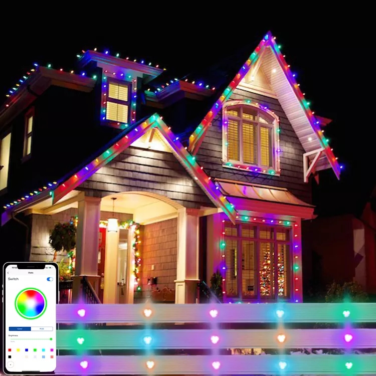 permanent christmas light 2904 landscape point pixel led light rgb outdoor holiday decoration dmx512 24v rgbw dot led