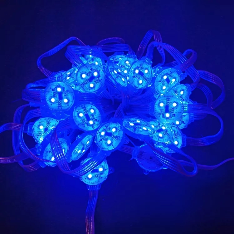 permanent christmas light 2904 landscape point pixel led light rgb outdoor holiday decoration dmx512 24v rgbw dot led