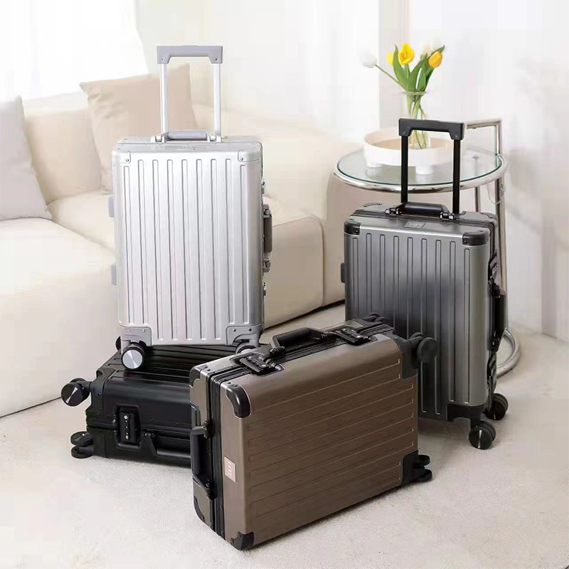 20 inches Spinner Carry on Luggage Suitcase, Double TSA Locks Pailox Metal Aluminium Frame Luggage Zipperless Luggage