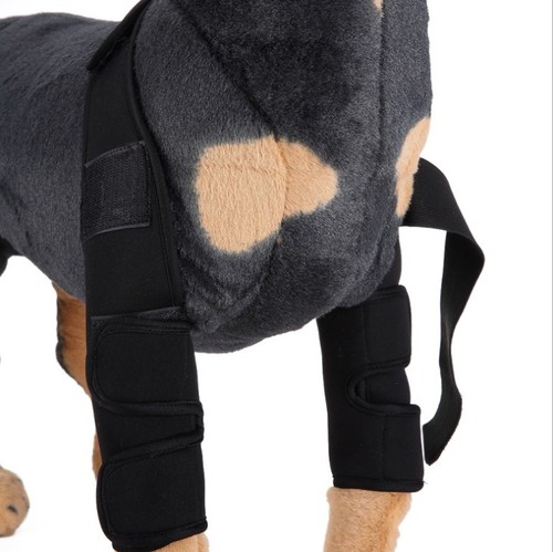 Small Medium Large  Professional dog boots Leg Protector dog brace Dog Knee Brace Paw Brace