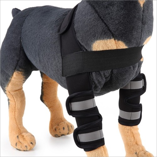 Small Medium Large  Professional dog boots Leg Protector dog brace Dog Knee Brace Paw Brace