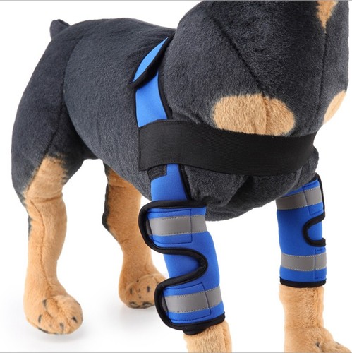 Small Medium Large  Professional dog boots Leg Protector dog brace Dog Knee Brace Paw Brace