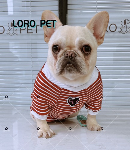  Cotton  Dog Clothes Colorful Blank Dog Hoodie Sweater