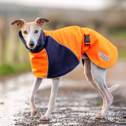 Qiqu Pet Supplies  New Designer wind repellent resistant reflective coat jacket cloak cape  for Dog For Large Whip