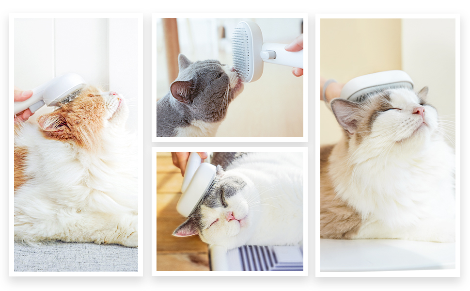 Hair remover brush for cats and dogs