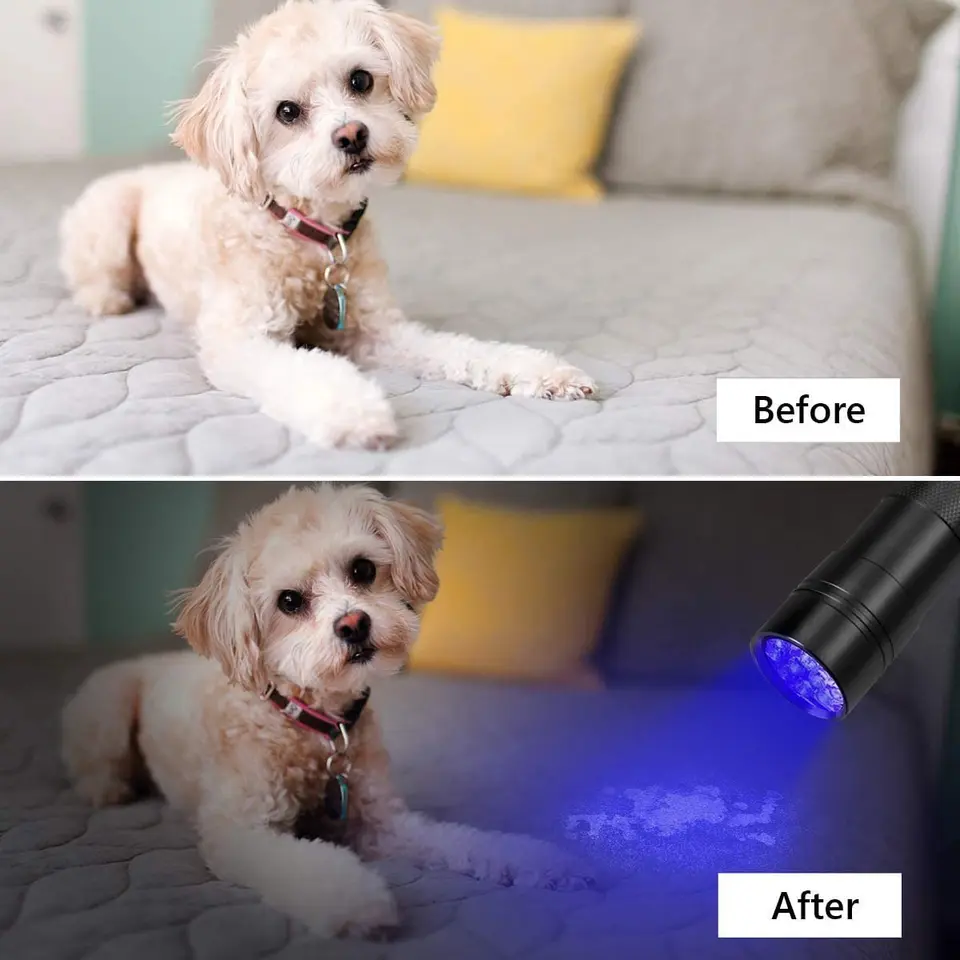 Uv Flashlight 12 LED Handheld flashlight 395nm mini light flashlight detector dog pet urine stains